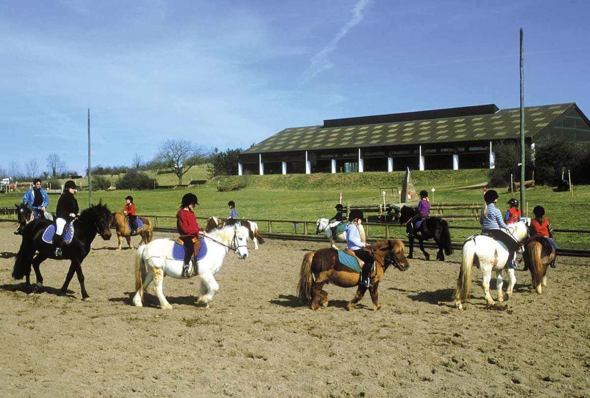 Carriere ouverte cours d'equitation pour enfant