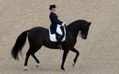 Dimanche 27 octobre : Concours de Dressage