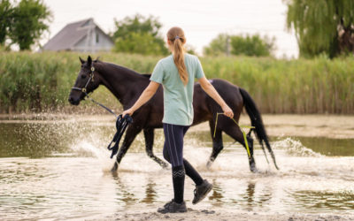 Vacances de Février 2020 – Programme des stages