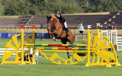 Dimanche 19 janvier 2020