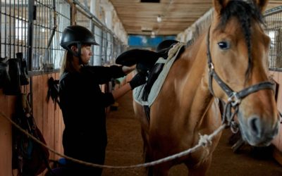 Planning animation été 2021