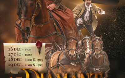 Spectacle équestre – Le Diamant des Mousquetaires