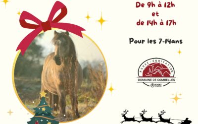 Stage de Noël – 23 décembre