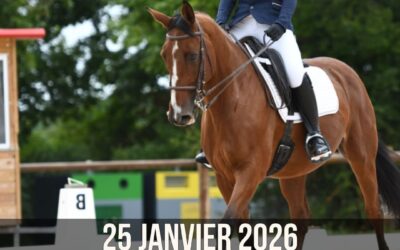 Dressage – 25 Janvier
