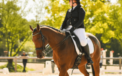 Dressage – 8 Mars